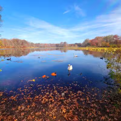 Mill Pond Park and Adam D Rand Memorial Trail - Wantagh, NY