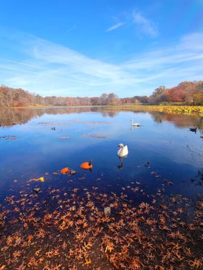 Mill Pond Park and Adam D Rand Memorial Trail - Wantagh, NY