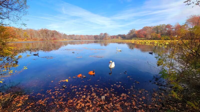 Mill Pond Park and Adam D Rand Memorial Trail - Wantagh, NY