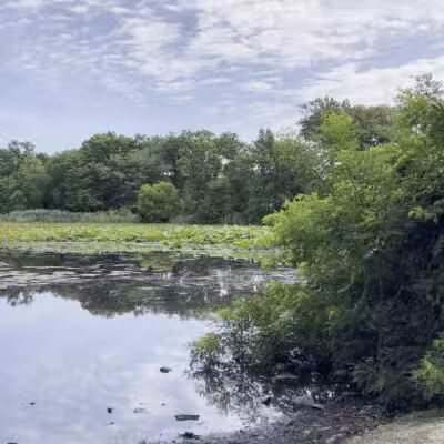 Mill Pond Park and Adam D Rand Memorial Trail - Wantagh, NY