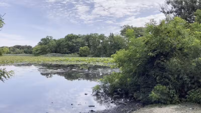 Mill Pond Park and Adam D Rand Memorial Trail - Wantagh, NY