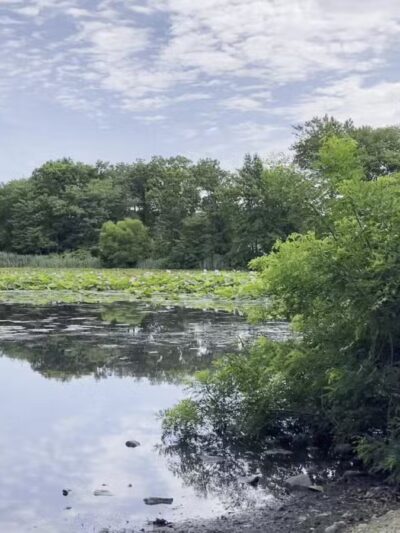 Mill Pond Park and Adam D Rand Memorial Trail - Wantagh, NY