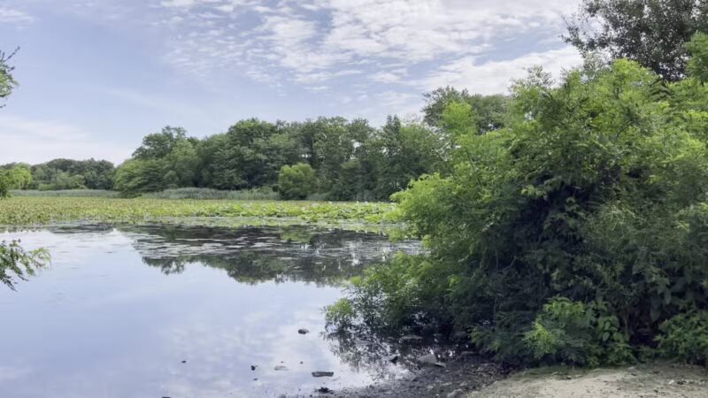 Mill Pond Park and Adam D Rand Memorial Trail - Wantagh, NY