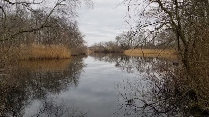 Mill Pond Park and Adam D Rand Memorial Trail - Wantagh, NY