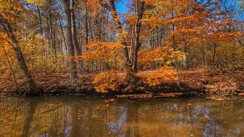 Mill Pond Park and Adam D Rand Memorial Trail - Wantagh, NY