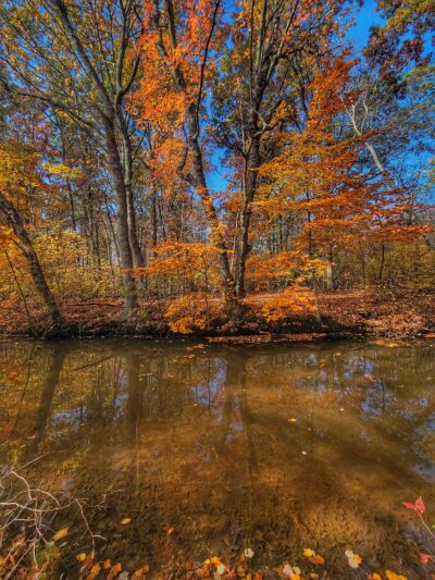 Mill Pond Park and Adam D Rand Memorial Trail - Wantagh, NY