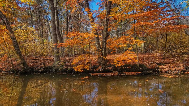 Mill Pond Park and Adam D Rand Memorial Trail - Wantagh, NY
