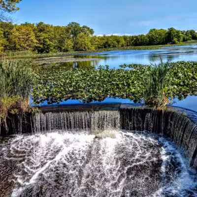 Mill Pond Preserve Wantagh - Wantagh, NY