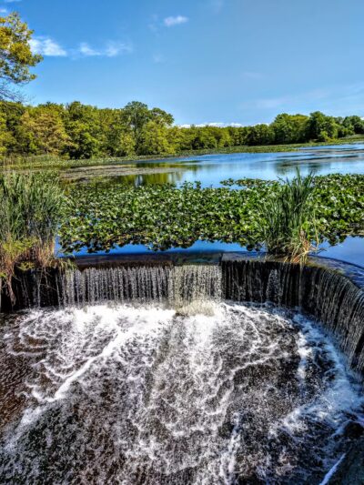 Mill Pond Preserve Wantagh - Wantagh, NY