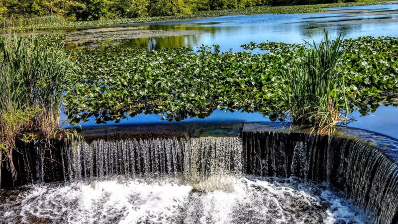 Mill Pond Preserve Wantagh - Wantagh, NY