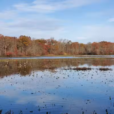 Mill Pond Preserve Wantagh - Wantagh, NY