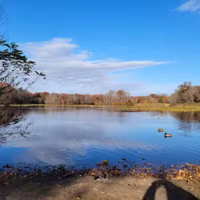 Twin Lakes Preserve - Wantagh, NY