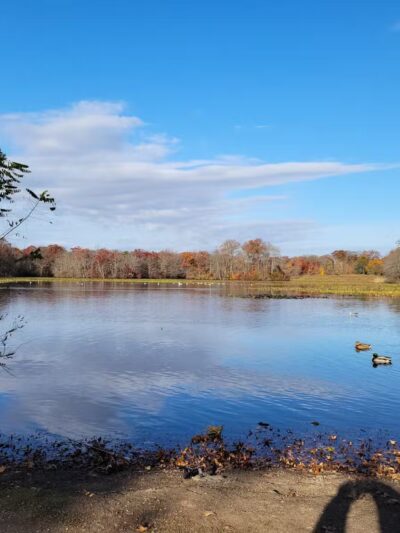 Twin Lakes Preserve - Wantagh, NY
