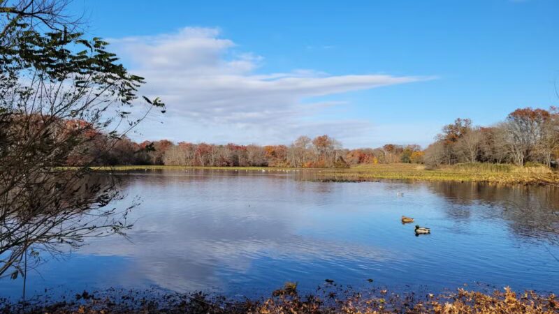 Twin Lakes Preserve - Wantagh, NY