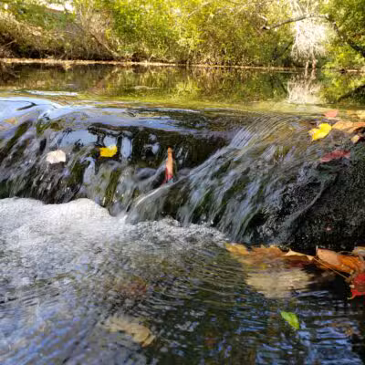 Twin Lakes Preserve - Wantagh, NY