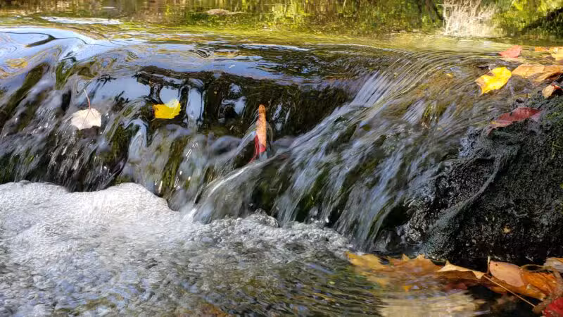 Twin Lakes Preserve - Wantagh, NY