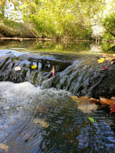 Twin Lakes Preserve - Wantagh, NY