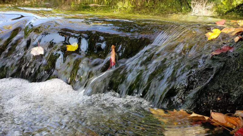 Twin Lakes Preserve - Wantagh, NY