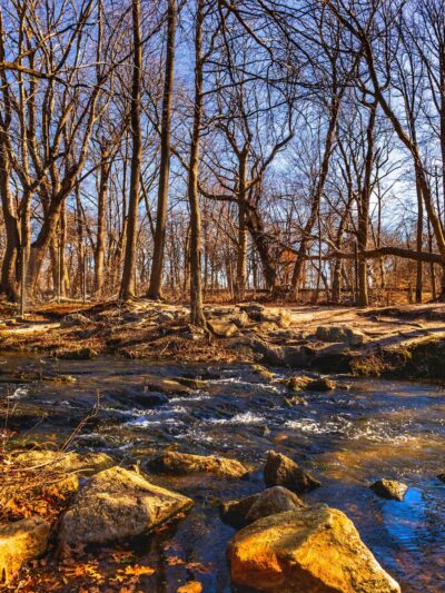 Twin Lakes Preserve - Wantagh, NY