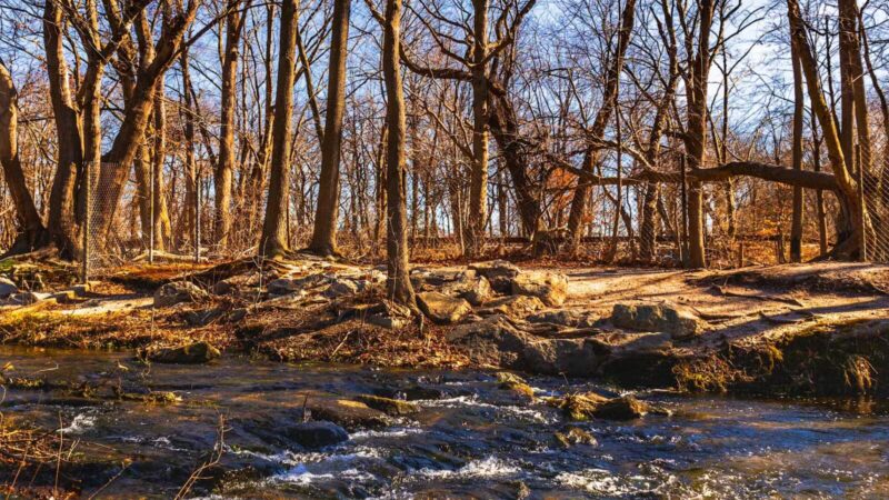 Twin Lakes Preserve - Wantagh, NY