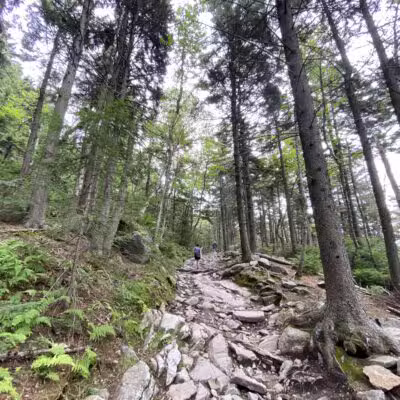 Mt Kearsarge - Warner, NH