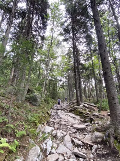 Mt Kearsarge - Warner, NH