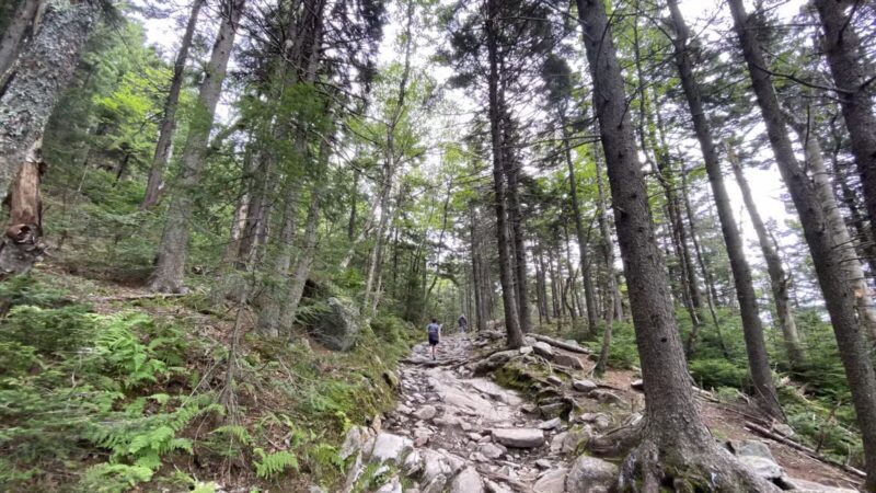 Mt Kearsarge - Warner, NH