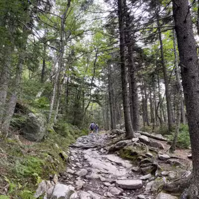 Mt Kearsarge - Warner, NH