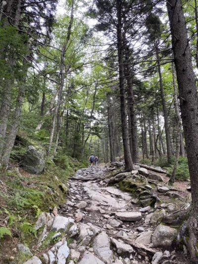 Mt Kearsarge - Warner, NH