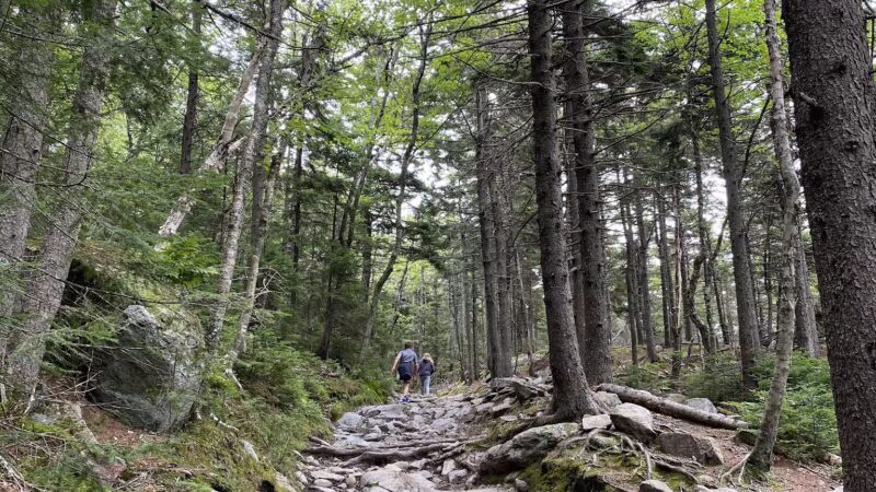 Mt Kearsarge - Warner, NH