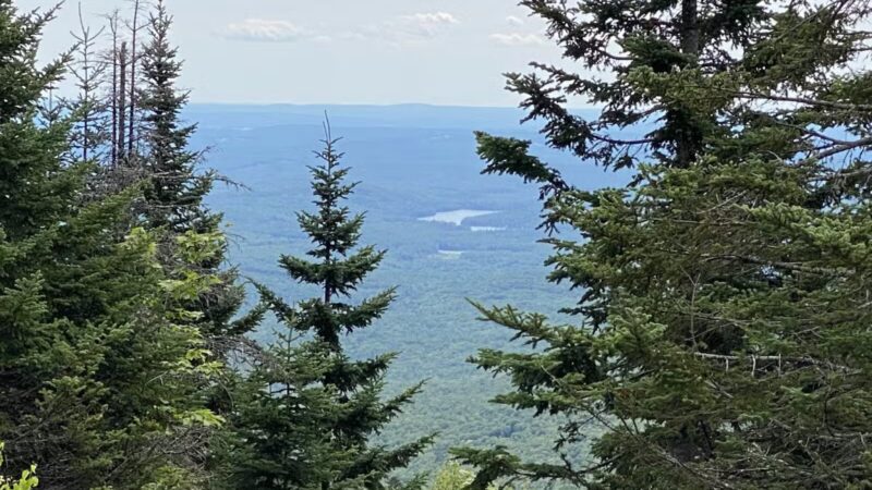 Mt Kearsarge - Warner, NH