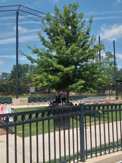 Chevy Chase Playground - Washington,