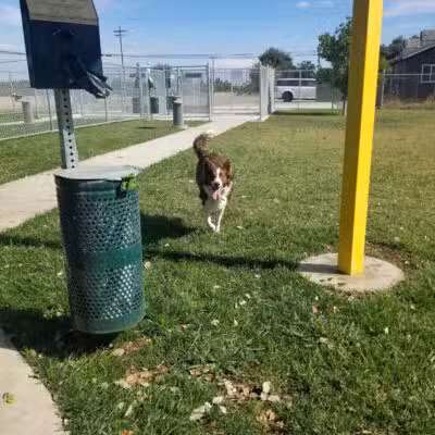 Waterford Dog Park - Waterford, CA