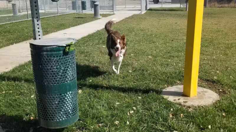 Waterford Dog Park - Waterford, CA