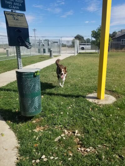 Waterford Dog Park - Waterford, CA