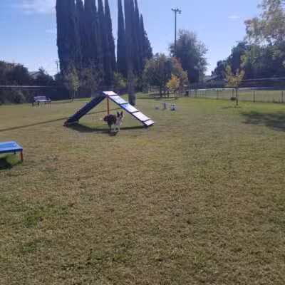 Waterford Dog Park - Waterford, CA