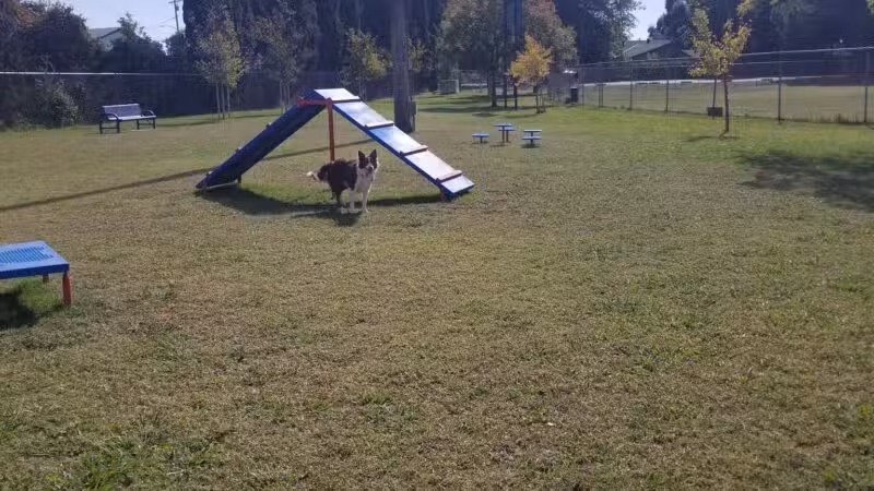 Waterford Dog Park - Waterford, CA