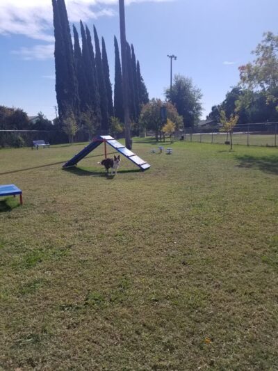 Waterford Dog Park - Waterford, CA