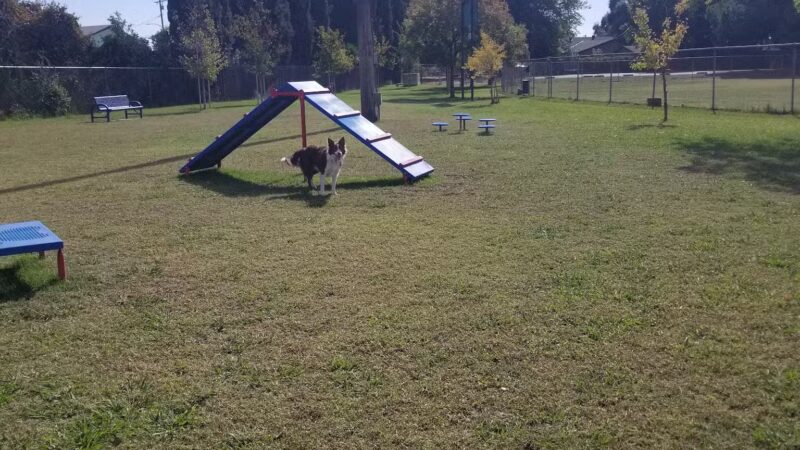 Waterford Dog Park - Waterford, CA