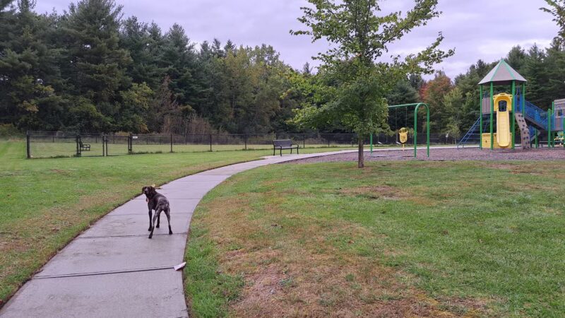 Bark Park Two - Watertown, NY