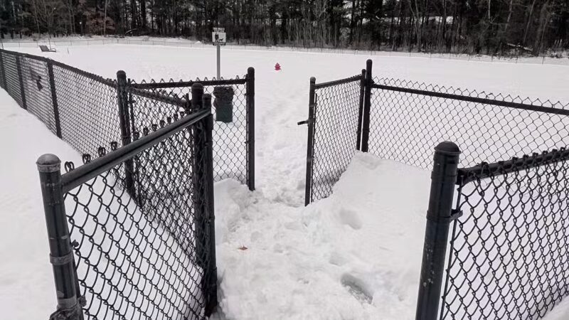 Bark Park Two - Watertown, NY