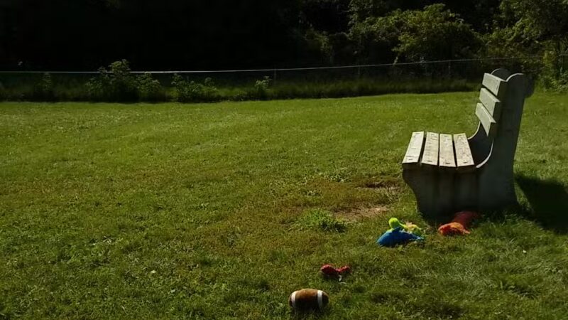 SPCA Dog Park - Watertown, NY