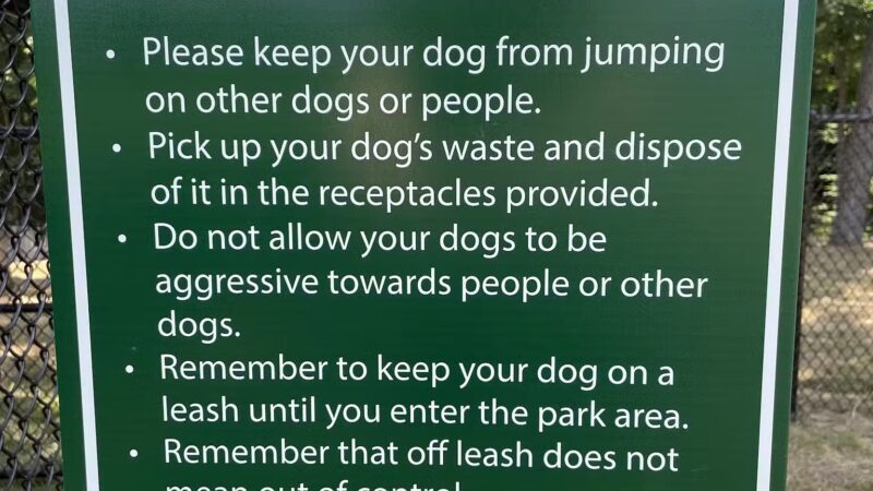 Waverly Dog Parks - Waverly, TN