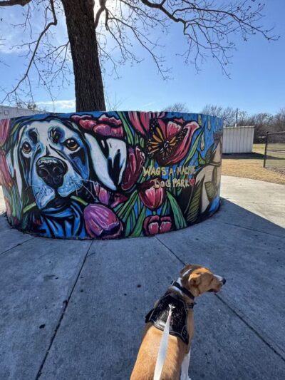 Wags-A-Hachie Dog Park - Waxahachie, TX