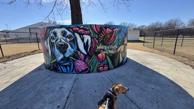 Wags-A-Hachie Dog Park - Waxahachie, TX