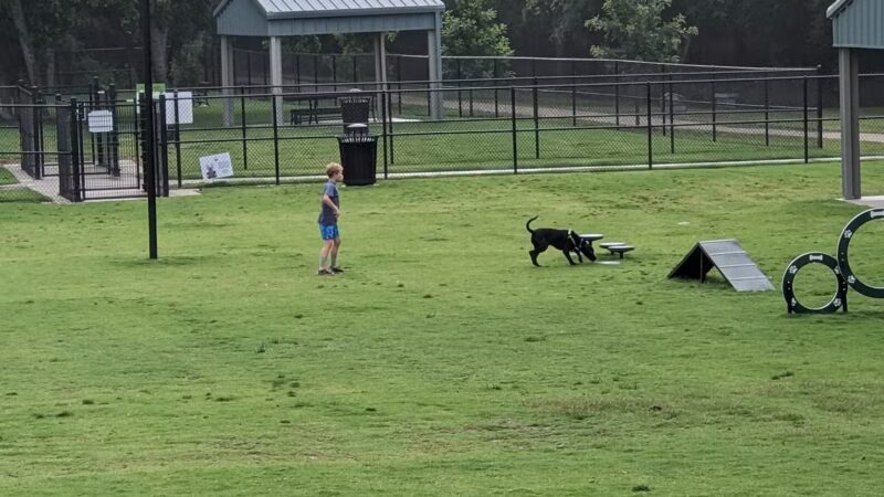 Wags-A-Hachie Dog Park - Waxahachie, TX