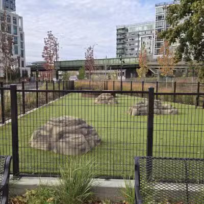 Dog Park - Weehawken Township, NJ