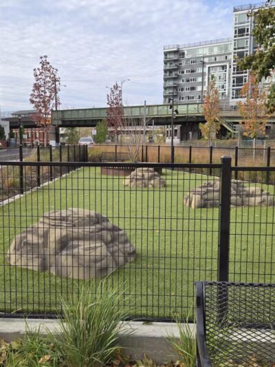 Dog Park - Weehawken Township, NJ