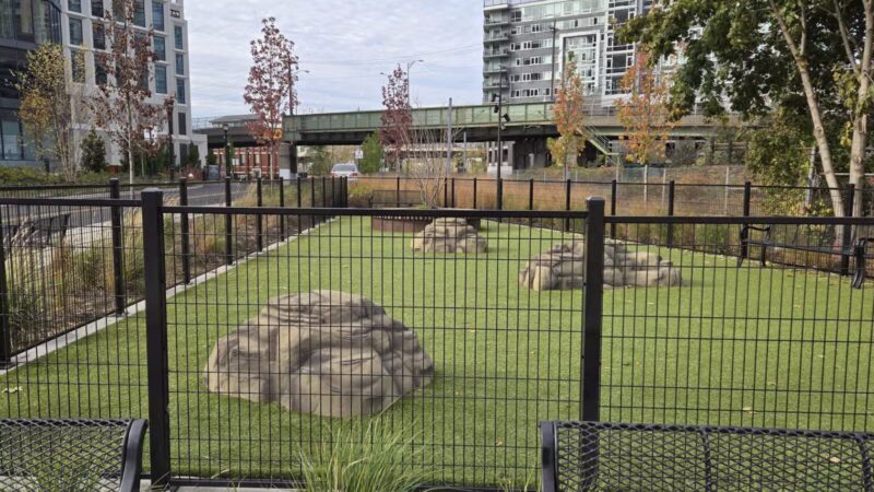 Dog Park - Weehawken Township, NJ