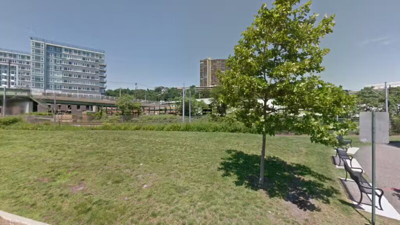 Dog Park - Weehawken Township, NJ